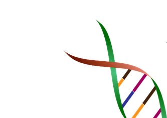 DNA vist som en dobbel spiraltråd